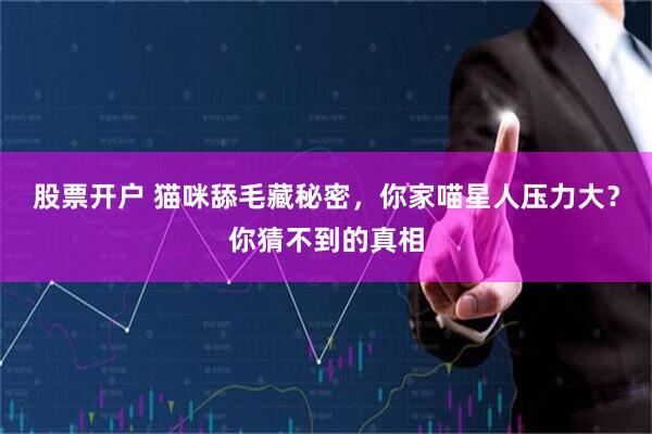 股票开户 猫咪舔毛藏秘密，你家喵星人压力大？你猜不到的真相