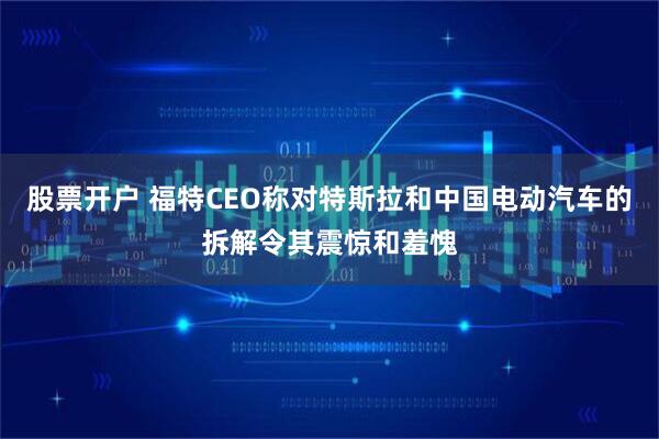 股票开户 福特CEO称对特斯拉和中国电动汽车的拆解令其震惊和羞愧